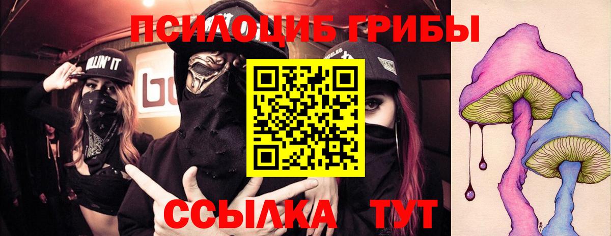 Псилоцибиновые грибы MAGIC MUSHROOMS Сокол